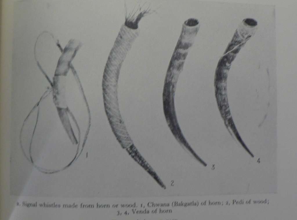 The musical instruments of the native races of South Africa by Percival R. Kirby