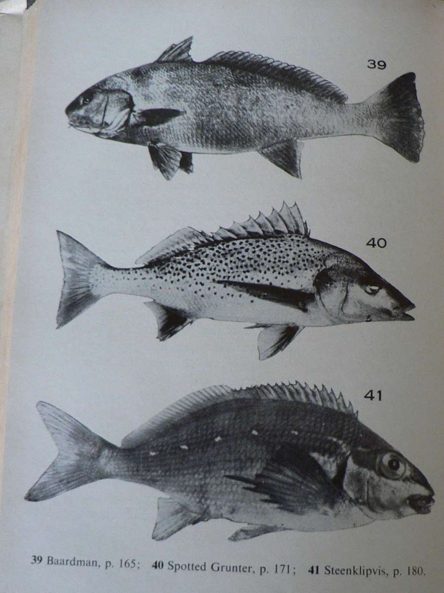Our Fishes by Prof. JLB Smith