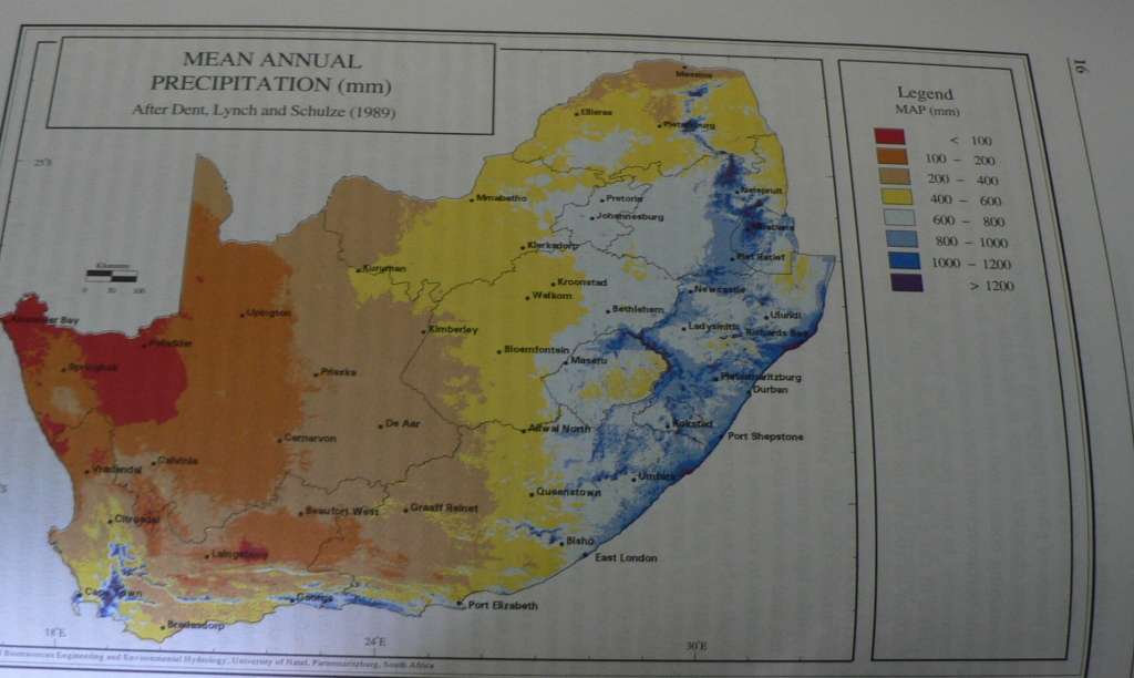 Veld management in South Africa by Neil Tainton(ed)