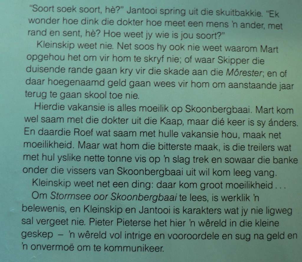 Stormsee oor Skoonbergbaai deur Pieter Pieterse