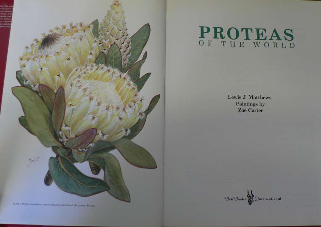 Proteas of the world by Matthews and Carter