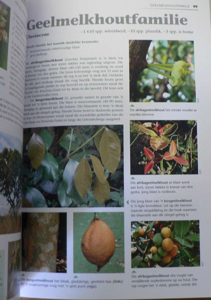 Watter boom is dit? deur Eugene Moll