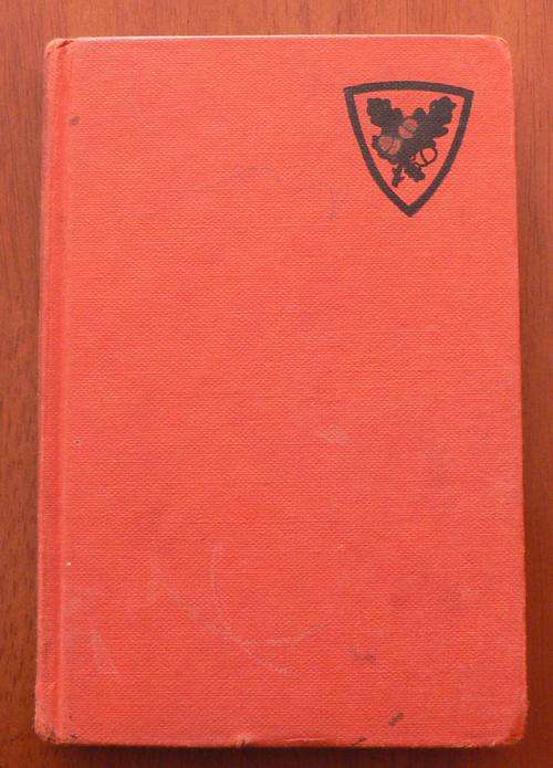 Die Rooi Ridder  deur Leopold Vermeiren.