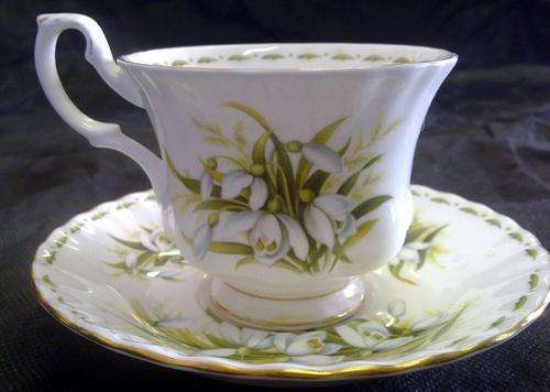 ROYAL ALBERT  SNOWDROPS - JANUARY FLOWER OF THE MONTH DUO