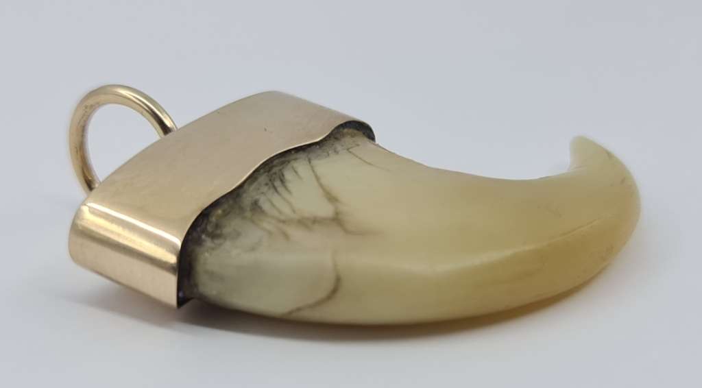 9ct LION`S CLAW PENDANT