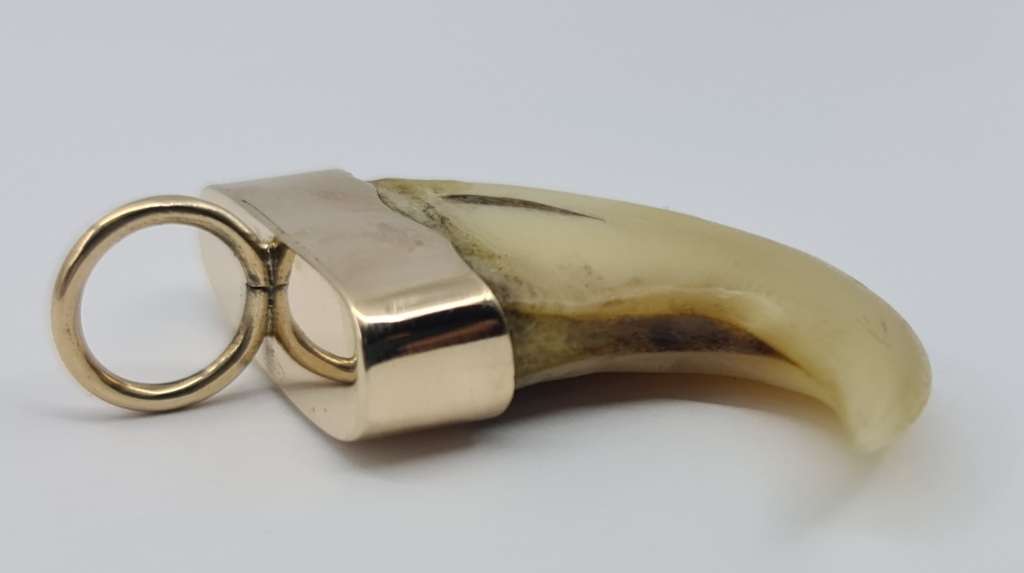 9ct LION`S CLAW PENDANT