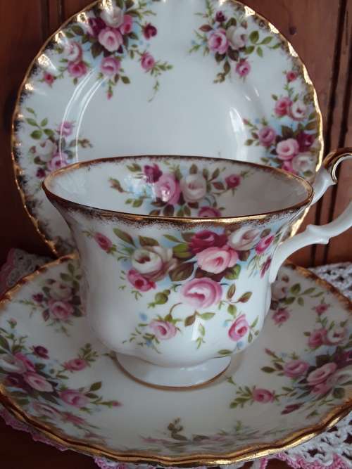 EXOTIC!! Royal Albert *COTTAGE GARDEN* Tea trio in excellent condition!!