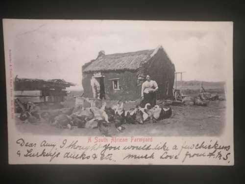 Postcard of : South African Farmyard Scene, Posted 1904