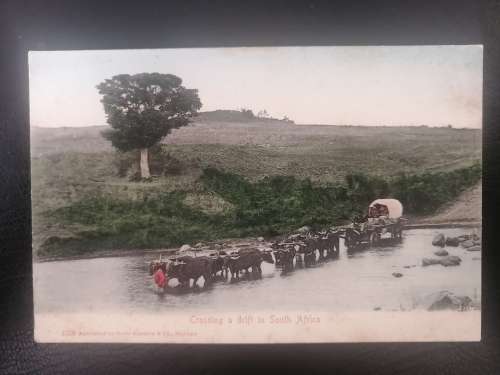 vintage Postcard : Trekking Wagon crossing a drift.Unused.