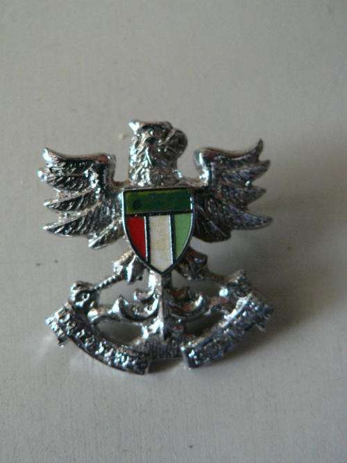 SADF - Collar single Regiment Northern Natal