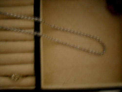 S/Silver Rope-link Chain