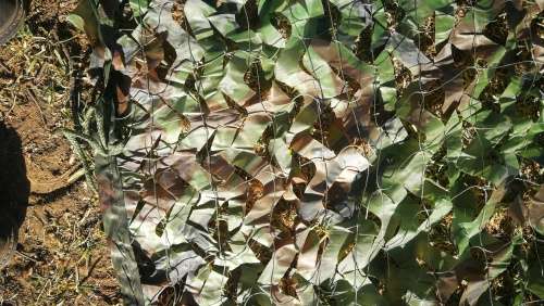 Camouflage Netting, Camo Net Blinds for Sunshade Camping Shooting Hunting