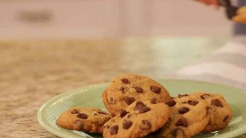 Wilton Simple Success Cookie Press Exito Prensa De La Galleta 18 Diff Discs NEW