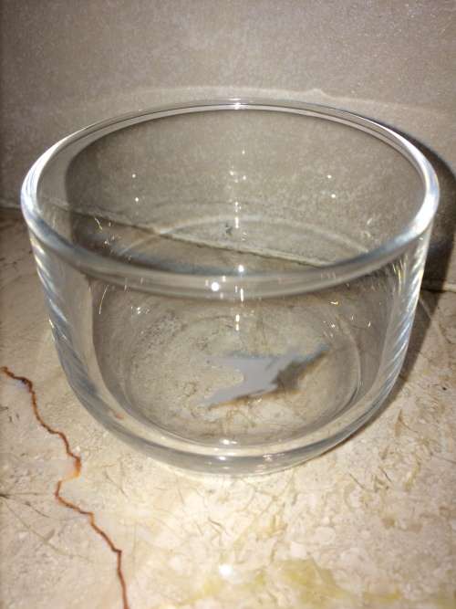 Vintage and Classic SAA Airline Glassware - Flying Springbok Logo - South African Airways