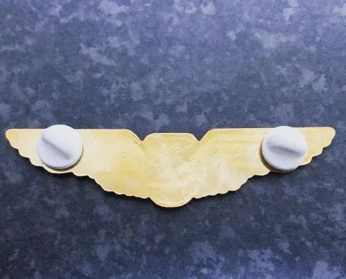 Original SAA Pilot Wings - South African Airways