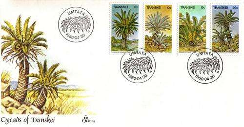 1980 - CYCADS - FDC