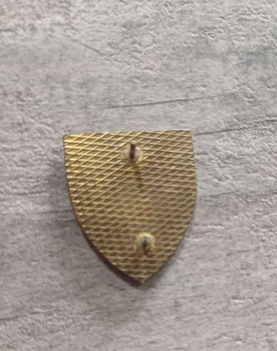 SADF 113 BN Fob Badge
