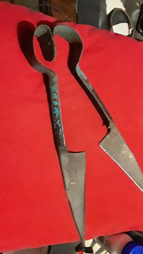 SHEEP SHEARS