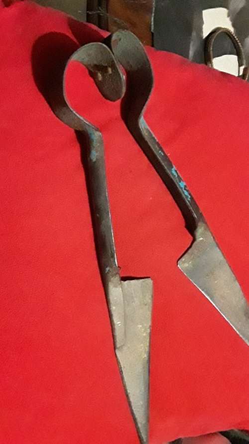 SHEEP SHEARS