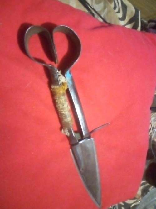 ROSA SHEEP SHEER SCISSOR