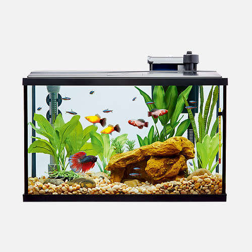 Resun - Fish Tank Starter Kit - 37.8L