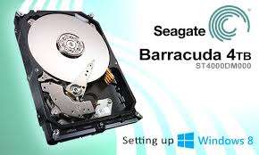 Seagate 4TB Internal Desktop Hard Drive - "CRAZY R1"