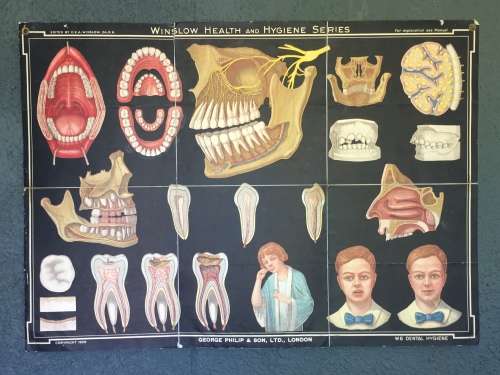 Winslow Health & Hygiene Series Charts (11)