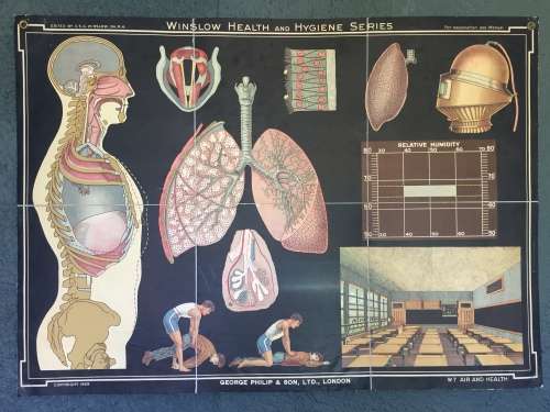 Winslow Health & Hygiene Series Charts (11)