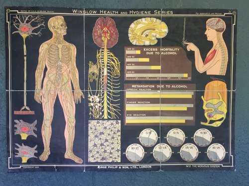Winslow Health & Hygiene Series Charts (11)