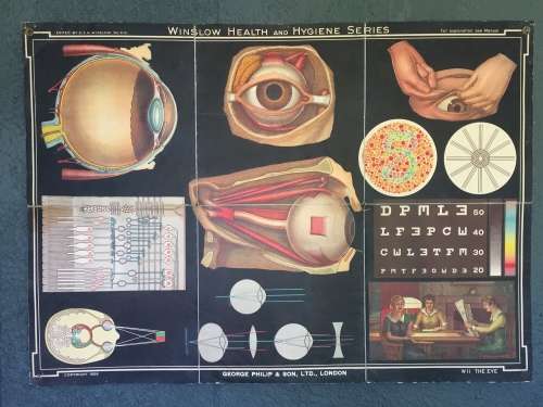 Winslow Health & Hygiene Series Charts (11)