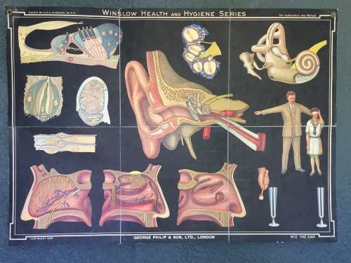 Winslow Health & Hygiene Series Charts (11)