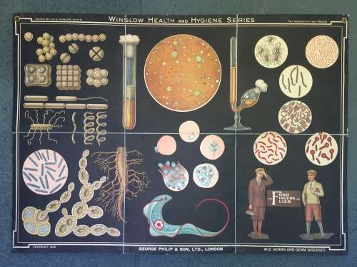 Winslow Health & Hygiene Series Charts (11)