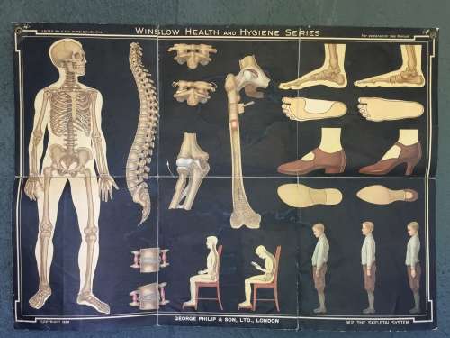 Winslow Health & Hygiene Series Charts (11)