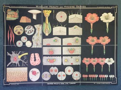 Winslow Health & Hygiene Series Charts (11)