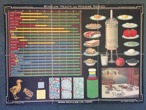 Winslow Health & Hygiene Series Charts (11)