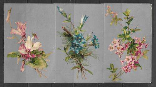 Germany - set of 3 postcards - botanical theme on silver foil finish - glue marks on back
