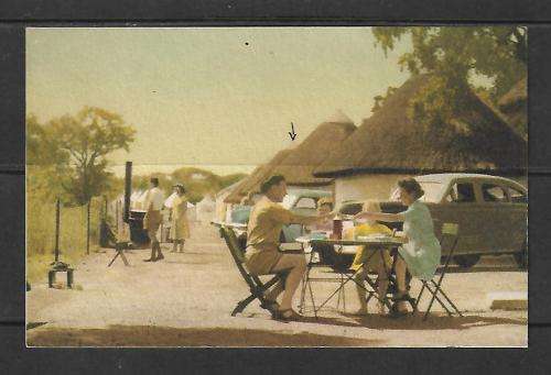 Union of SA Vintage Postcard - 1950's / 1960's - Kruger National Park 'Camp Life' see scan
