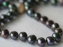 Elegant Rare! Peacock Black Faux Tahitian Cultured Pearl Necklace