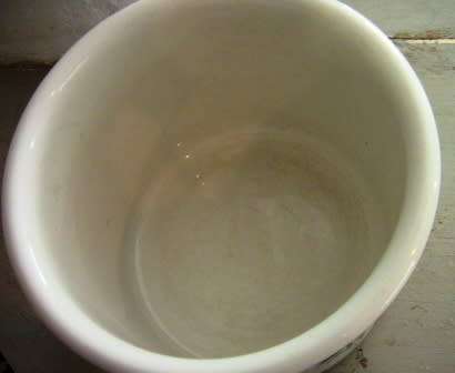 PORTMEIRION BIRDS OF BRITAIN PLANTER DESIGNED BY SUSAN WILLIAM ELLIS