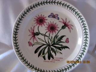 Portmeirion's 'Botanic Garden  'Fish plate Stoke-on-Trent Wales England
