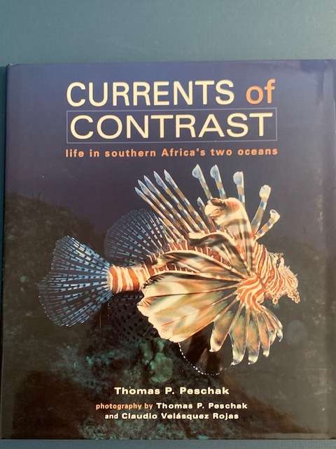 Currents of Contrast - Peschak, Thomas P and Rojas, Claudio Velsquez