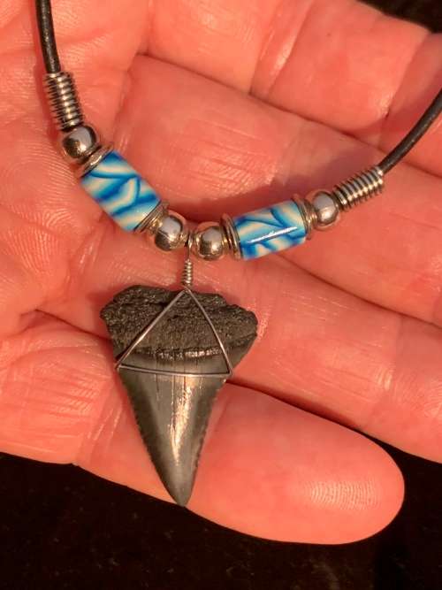 Great White FOSSIL SHARK TOOTH PENDANT NECKLACE 30 mm medium size
