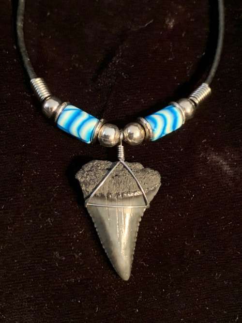 Great White FOSSIL SHARK TOOTH PENDANT NECKLACE 30 mm medium size