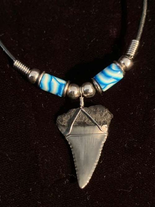 Great White FOSSIL SHARK TOOTH PENDANT NECKLACE 30 mm medium size
