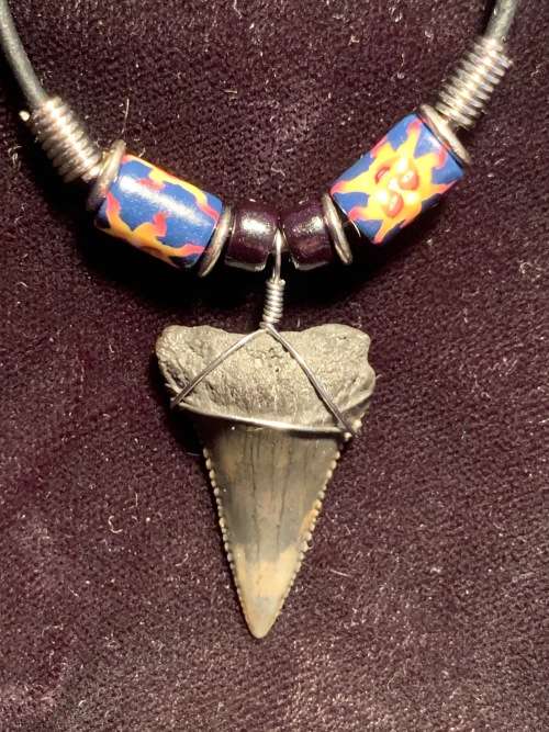 Great White FOSSIL SHARK TOOTH PENDANT NECKLACE 30 mm medium size