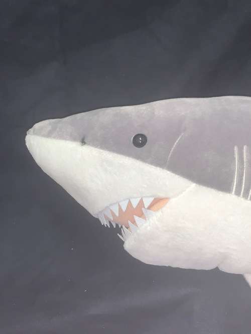 Great White Shark X large 85 cm