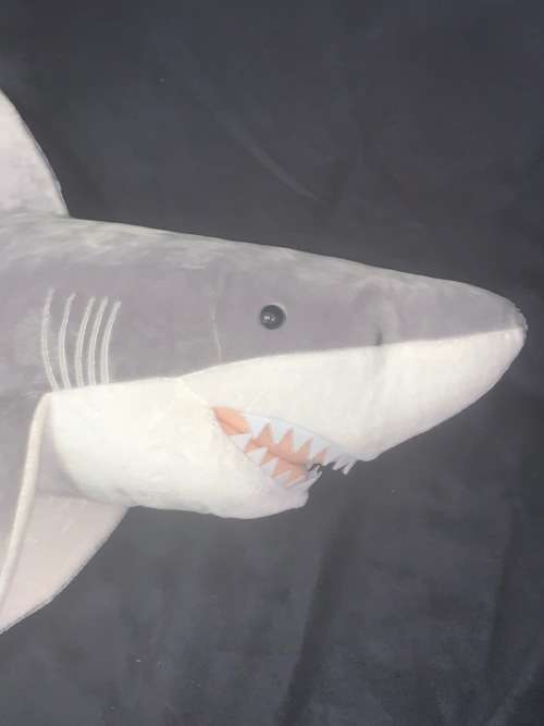 Great White Shark X large 85 cm