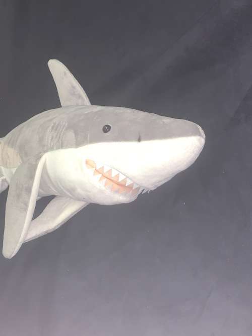 Great White Shark X large 85 cm