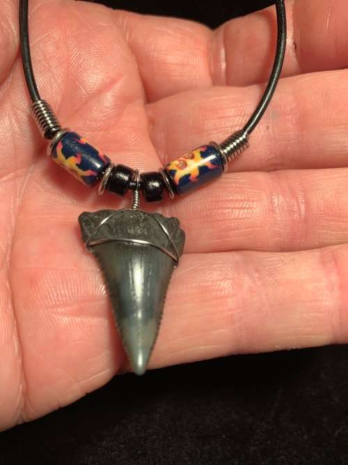 Great White FOSSIL SHARK TOOTH PENDANT NECKLACE 30 mm medium size