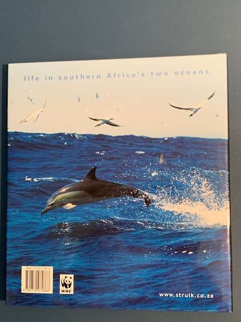 Currents of Contrast - Peschak, Thomas P and Rojas, Claudio Velsquez